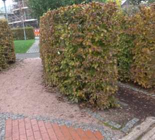 Kloster Heiligenbronn