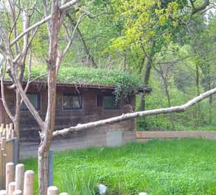 Südamerika Bereich - Katta