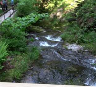 Wasserfälle Allerheiligen