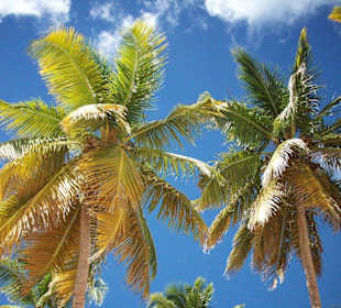 Canto de la Playa - Seavis Tours