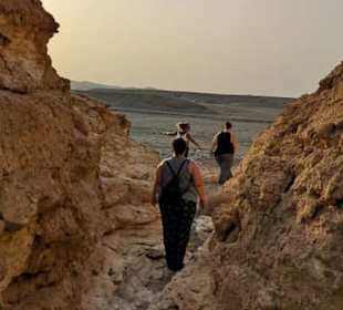 BBQ Dinner - Nighttour powerd by  E-Motion