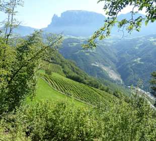 Wanderweg Keschtnweg