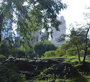 Central Park