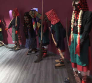 Fastnachtsmuseum Narrenschopf