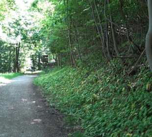 Premiumwanderweg "hochgelegen"