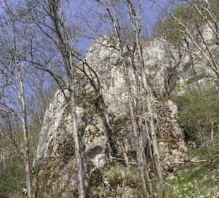 Waldlehrpfad an der Lauter