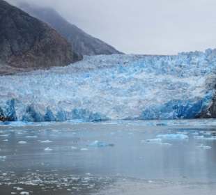 MS Zaandam liegt vor dem Gletscher
