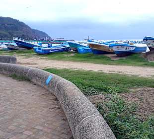 Rundgang Puerto Lopez