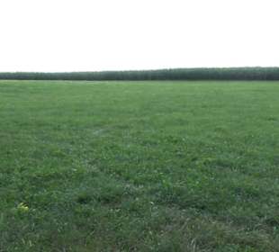 Burgruine Blankenstein