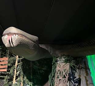 Museum Ripley's Believe It or Not!