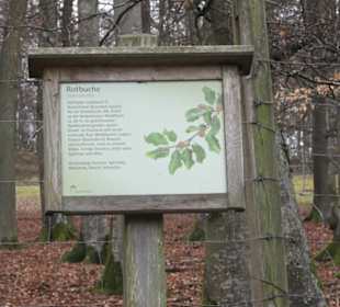 Wildpark Eichert
