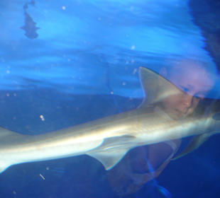 Röhren Aquarium Antalya 