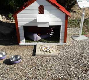 Ein wunderbares Katzendomizil mit Bettchen