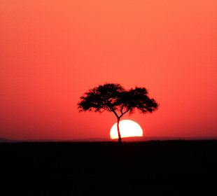 Toller Sonnenaufgang