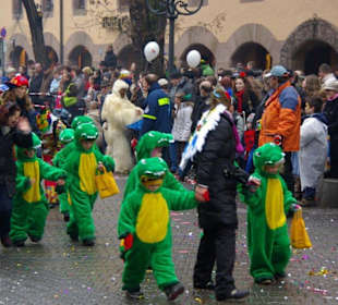 Nürnberger Faschingsumzug 21.02.