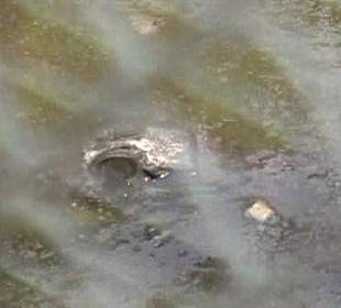 Kleines Krokodil im Eko-Park