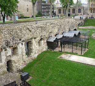 Tower - Rabenvolieren