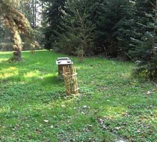 Wanderung Florianrunde