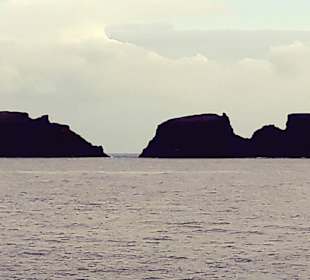 Tagesausflug mit der Fähre nach Porto Santo