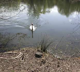 Schlattwiesensee