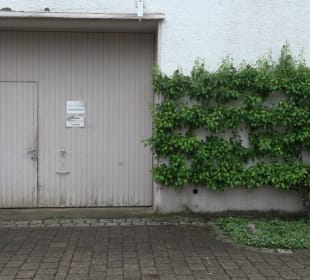 Alte Schule Reute