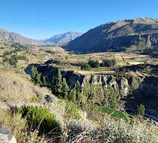 Colca-Canyon