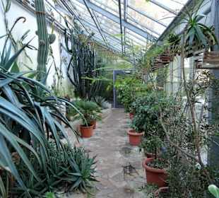 Rundgang durch das Tropenhaus des Schlossparks