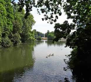 Rundgang durch den Hofgarten Düsseldorf