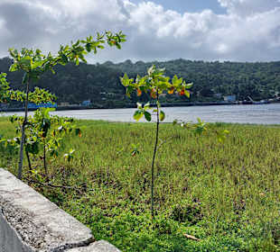Stadtrundgang Santo António do Príncipe