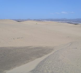Dünen von Maspalomas