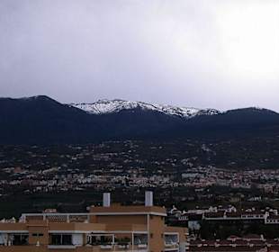Orotava Tal