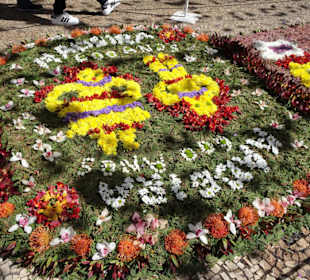 Impressionen vom Blumenfestival in Funchal