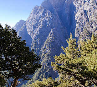 Eingang zur Schlucht