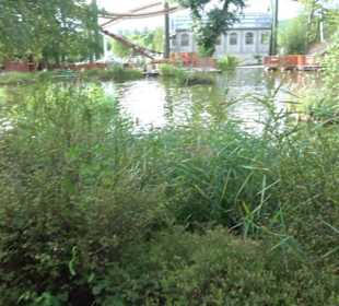 Erlebnispark Tripsdrill