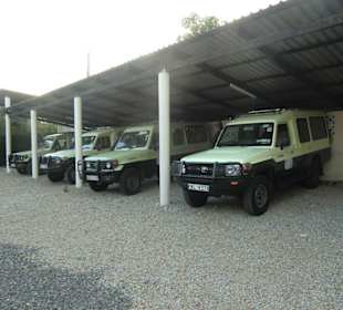 Teil der Land Cruiser Flotte von DM-Tours