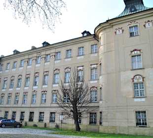 Zamek od strony Parku.