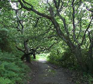 Weg auf dem Schlossgelände