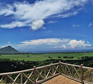 Ausblick von Casela Vogelpark