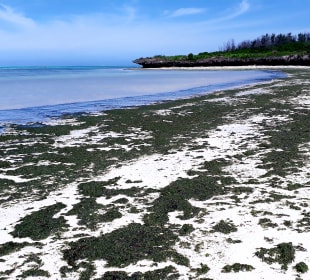 Strand vorm Rock Restaurant