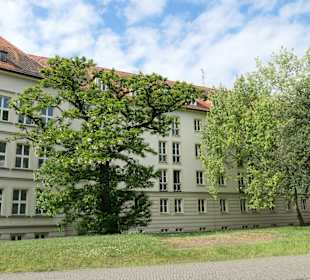 Sitz vom Landtag von Sachsen-Anhalt am Domplatz
