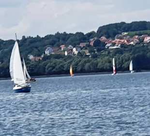 Segeln vom feinsten auf dem See