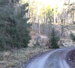 Wanderung rund um den Ochsenweiher