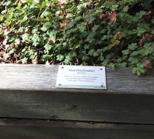 Kräutergarten