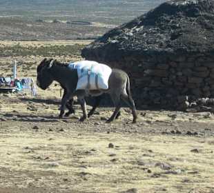 Basotho-Dorf
