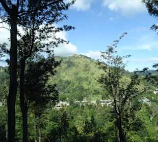 Elefantenreiten Sigiriya
