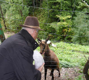 Fütterung hautnah miterleben