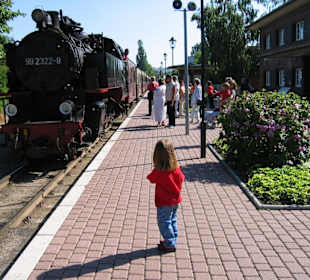 Molli am Bahnhof Ost