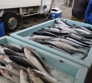 Fischmarkt im Hafen