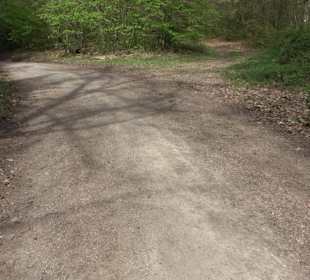 Walderlebnisweg Rottenburg