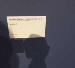 Museum für Vor- und Frühgeschichte